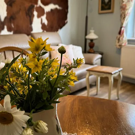 Historisches Flair Und Moderne In Blankenburg Apartment Blankenburg (Harz)